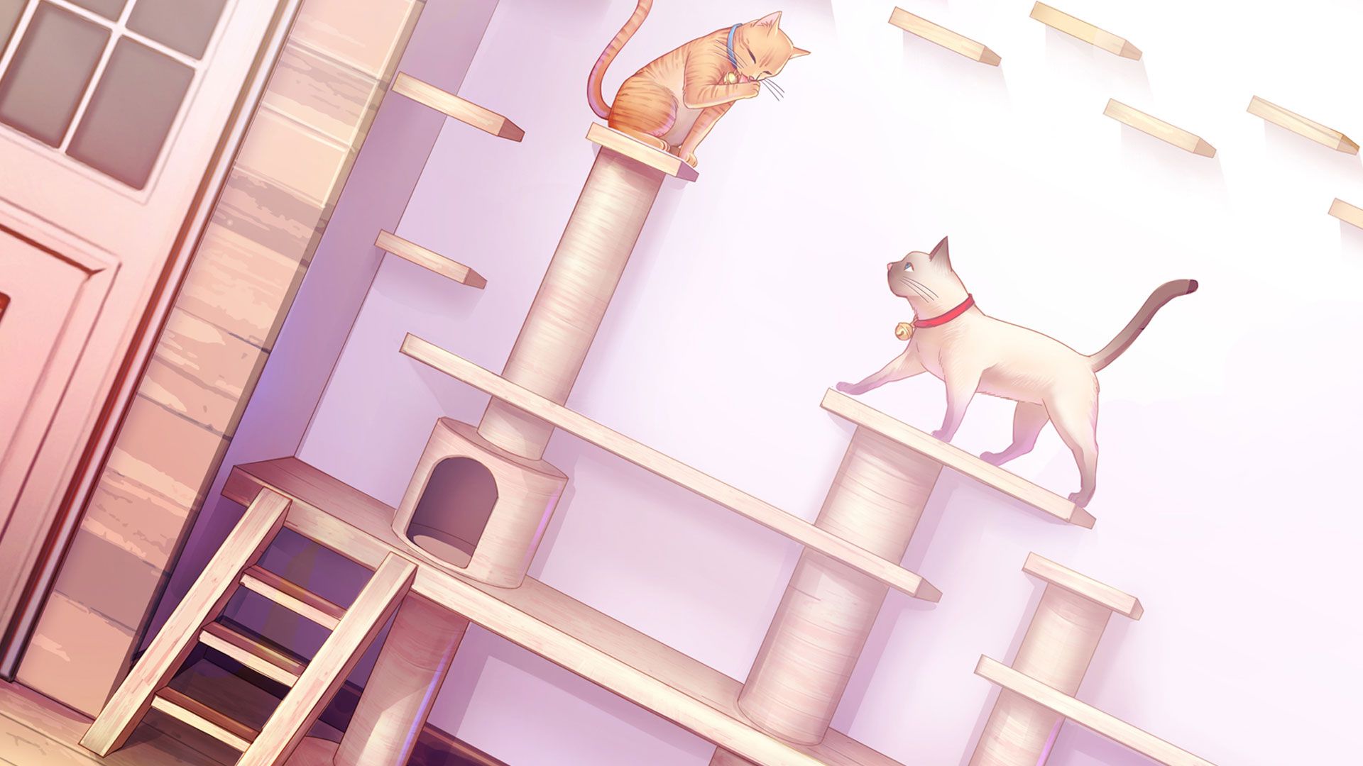 image_header